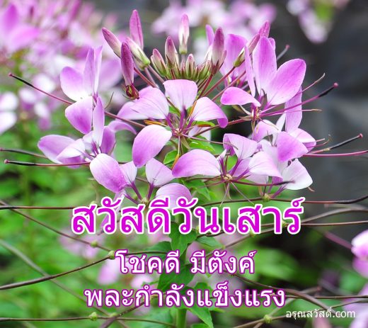 สวัสดีวันเสาร์