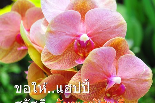 สวัสดีวันพฤหัสบดี