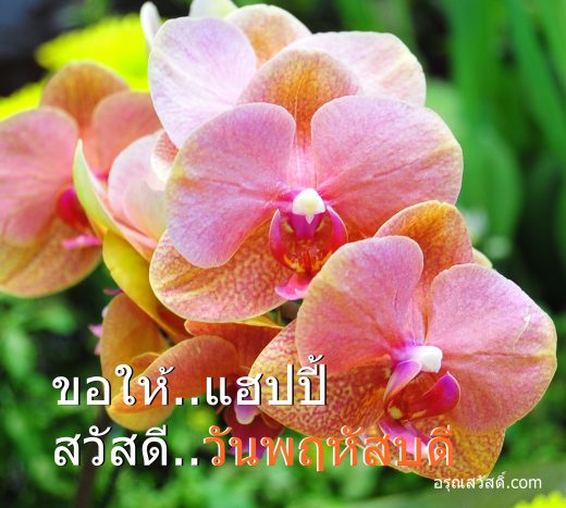สวัสดีวันพฤหัสบดี