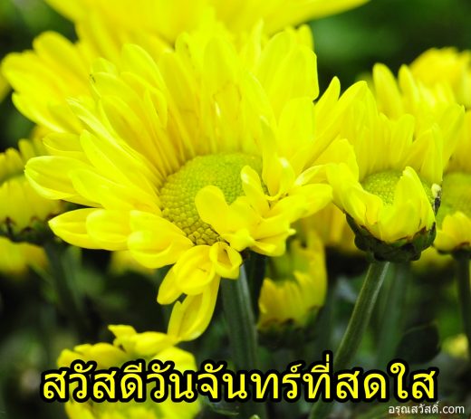 สวัสดีวันจันทร์