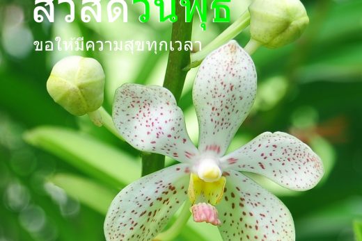 สวัสดีวันพุธ
