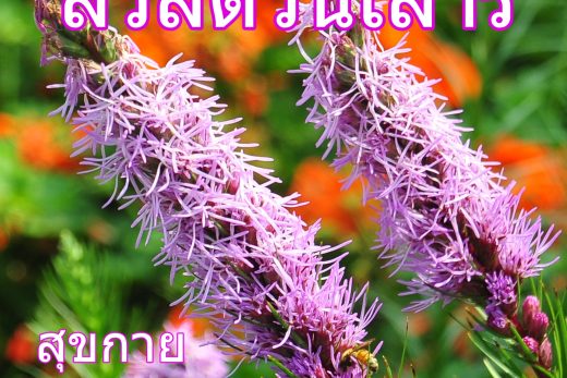 สวัสดีวันเสาร์