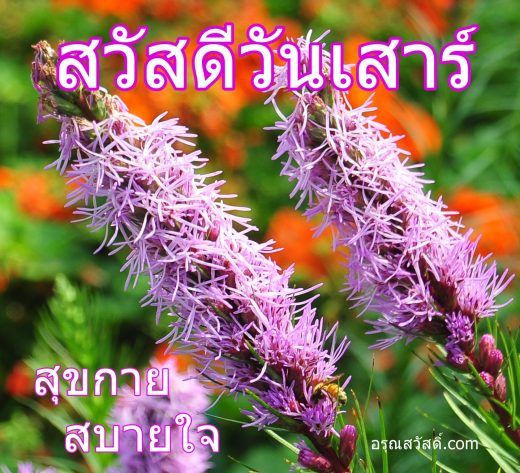 สวัสดีวันเสาร์
