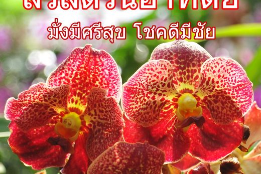 สวัสดีวันอาทิตย์