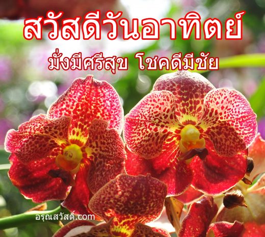 สวัสดีวันอาทิตย์