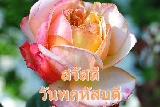 สวัสดีวันพฤหัสบดี