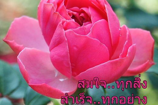 สวัสดีวันอังคาร
