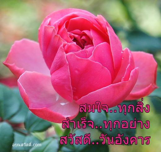 สวัสดีวันอังคาร