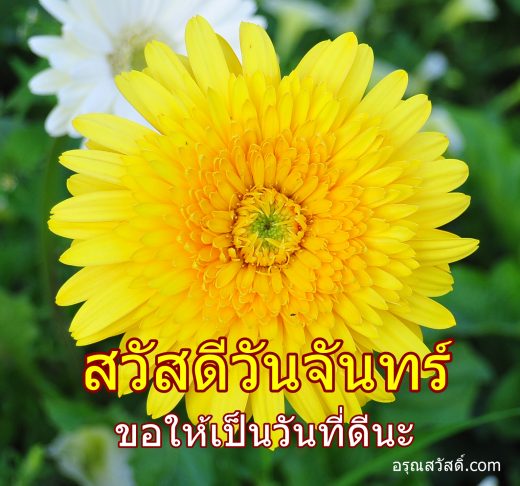 สวัสดีวันจันทร์