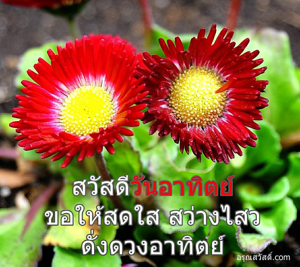 สวัสดีวันอาทิตย์
