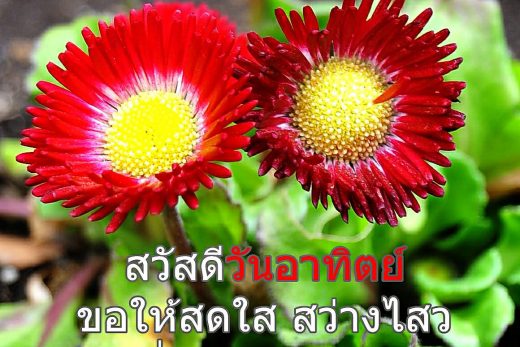 สวัสดีวันอาทิตย์