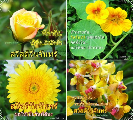 สวัสดีตอนเช้า