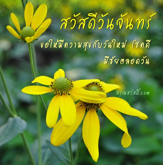 สวัสดีวันจันทร์