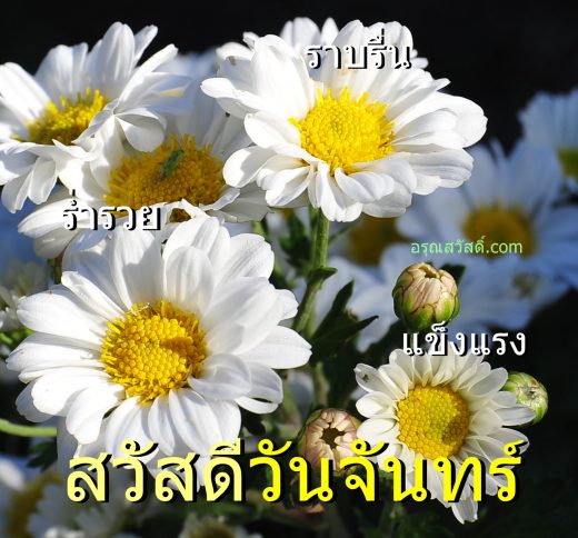 สวัสดีวันจันทร์