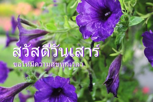 สวัสดีวันเสาร์
