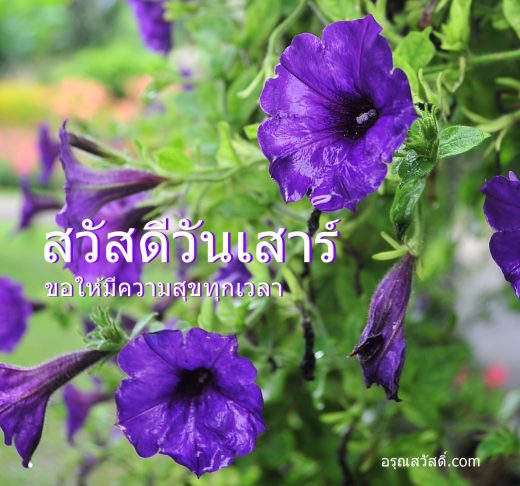 สวัสดีวันเสาร์