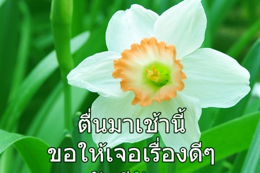 สวัสดีวันพุธ