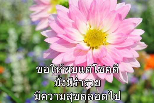 สวัสดีวันอังคาร