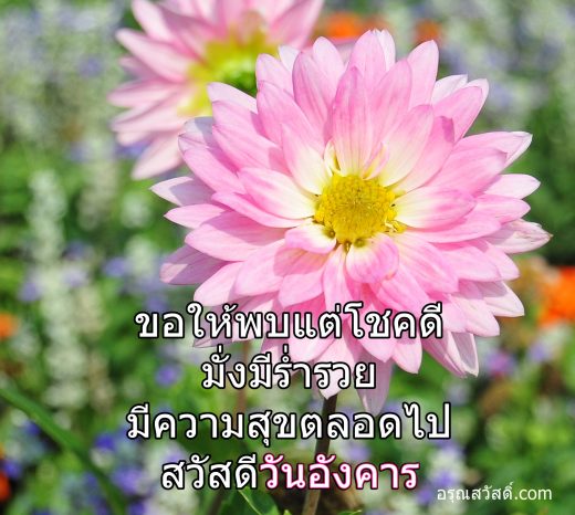 สวัสดีวันอังคาร
