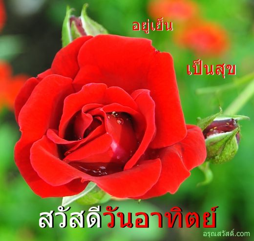 สวัสดีวันอาทิตย์