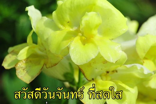 สวัสดีวันจันทร์