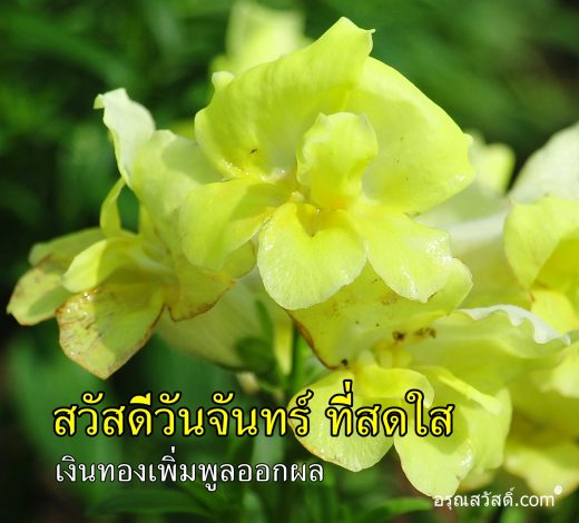 สวัสดีวันจันทร์