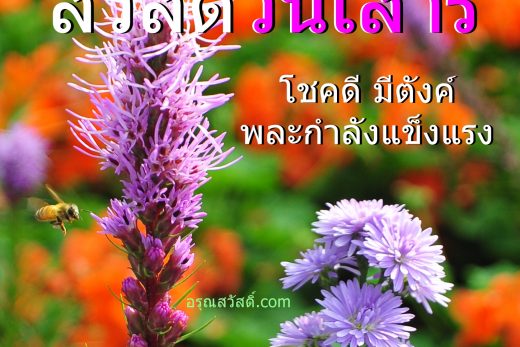 สวัสดีวันเสาร์