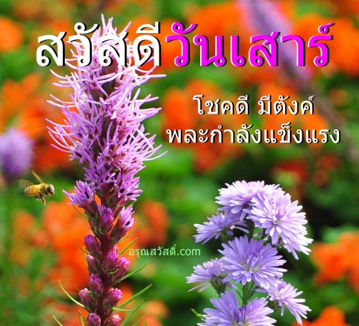 สวัสดีวันเสาร์