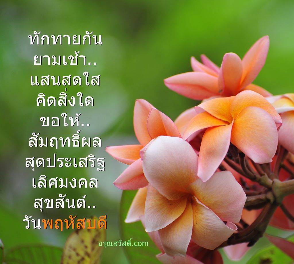 สวัสดีวันพฤหัสบดี