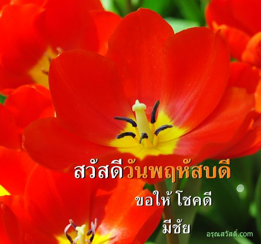สวัสดีวันพฤหัสบดี