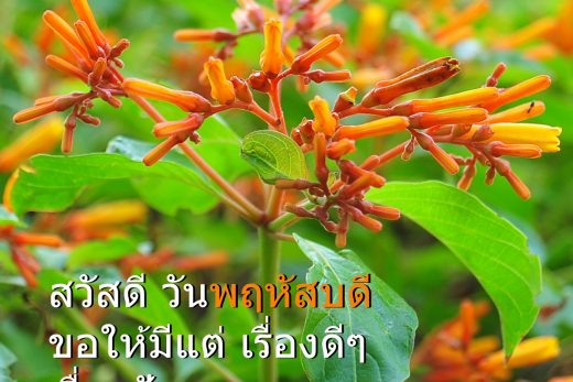 สวัสดีวันพฤหัสบดี