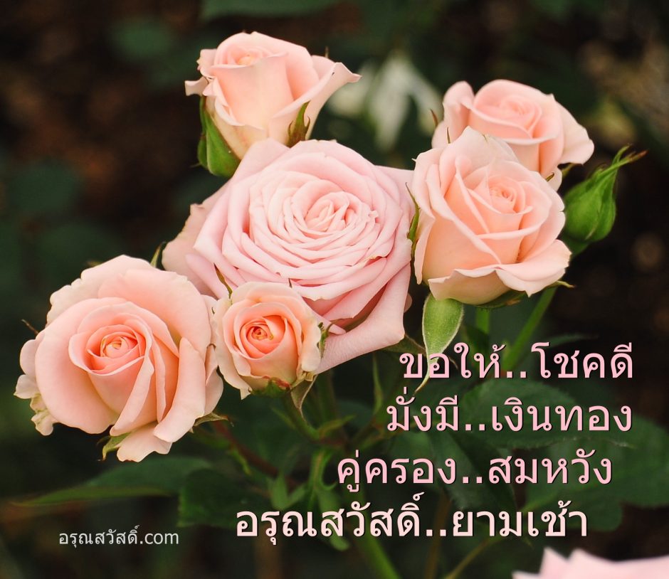 อรุณสวัสดิ์