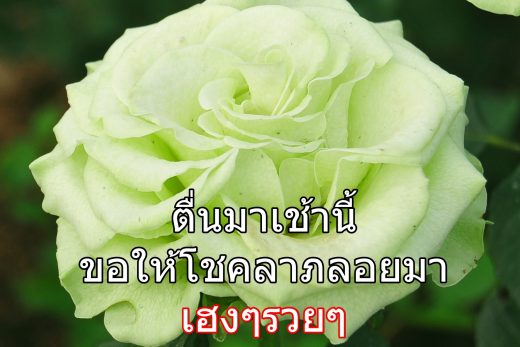 สวัสดีวันพุธ