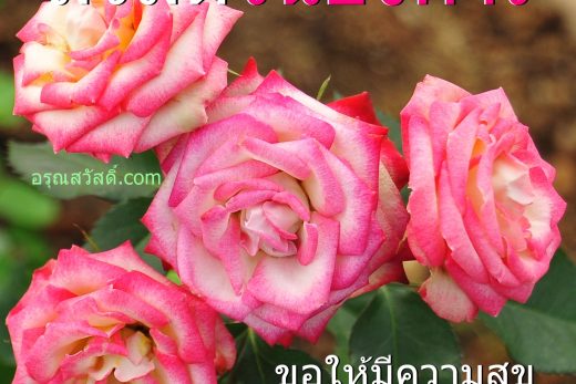 สวัสดีวันอังคาร