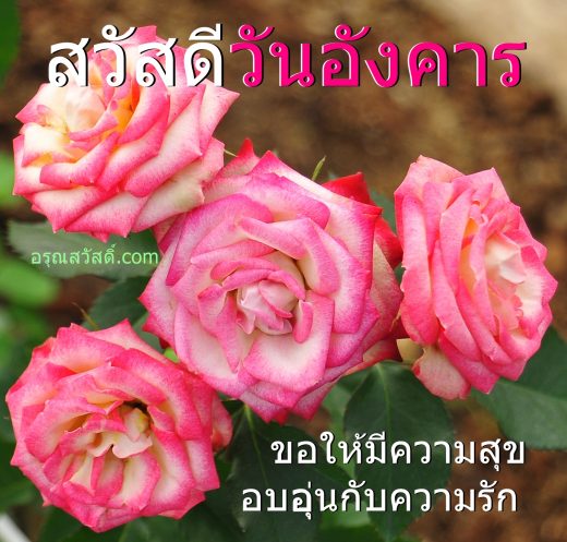 สวัสดีวันอังคาร
