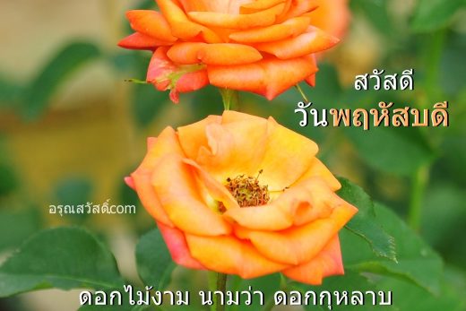 สวัสดีวันพฤหัสบดี