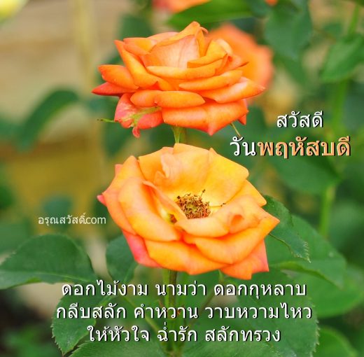 สวัสดีวันพฤหัสบดี