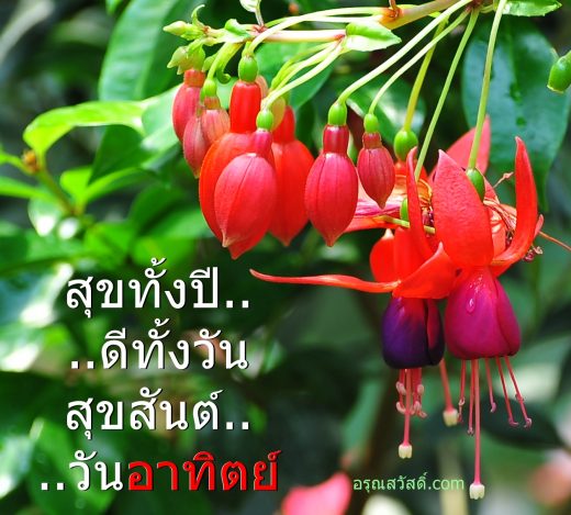 สวัสดีวันอาทิตย์