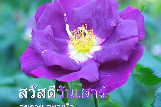 สวัสดีวันเสาร์