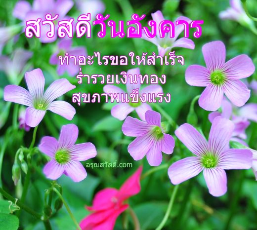 สวัสดีวันอังคาร