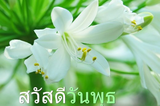 สวัสดีวันพุธ