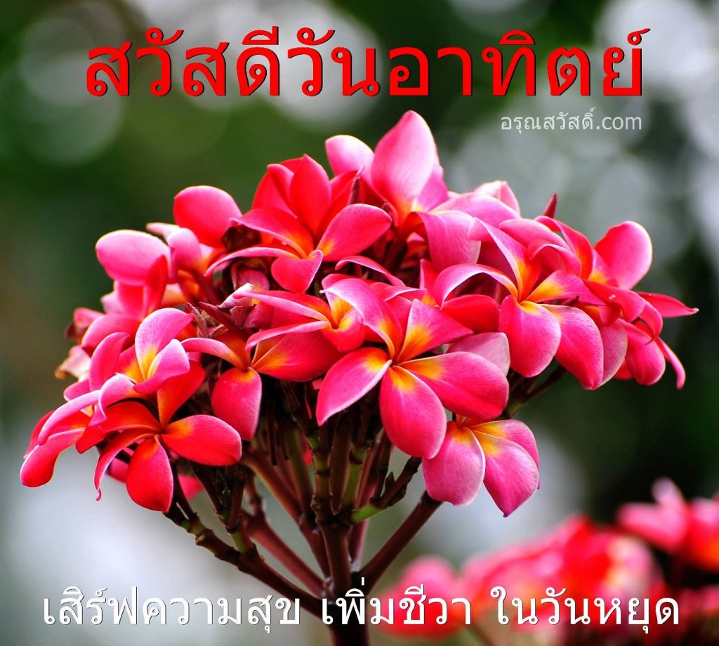 สวัสดีวันอาทิตย์