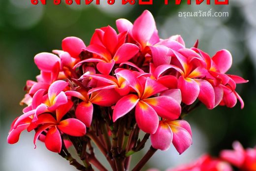 สวัสดีวันอาทิตย์