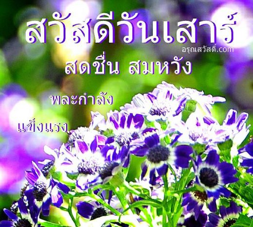 สวัสดีวันเสาร์