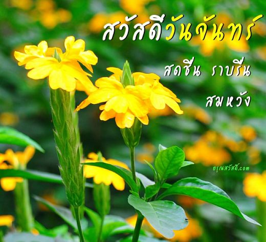 สวัสดีวันจันทร์