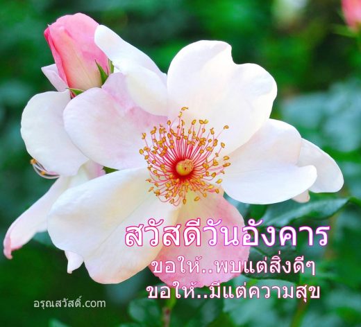 สวัสดีวันอังคาร