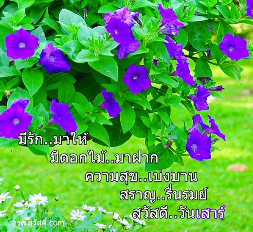 สวัสดีวันเสาร์