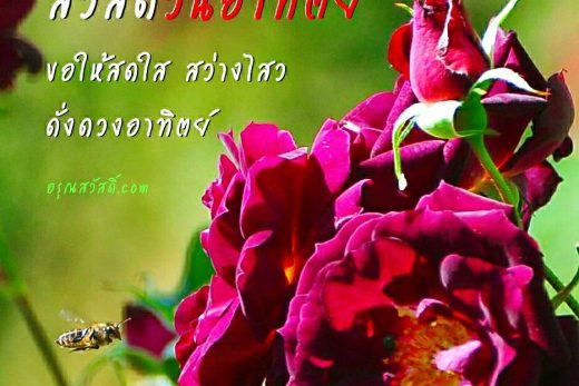 สวัสดีวันอาทิตย์
