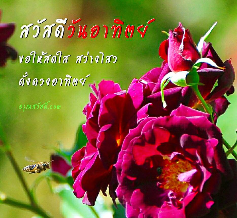 สวัสดีวันอาทิตย์