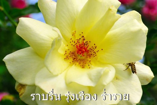 สวัสดีวันจันทร์